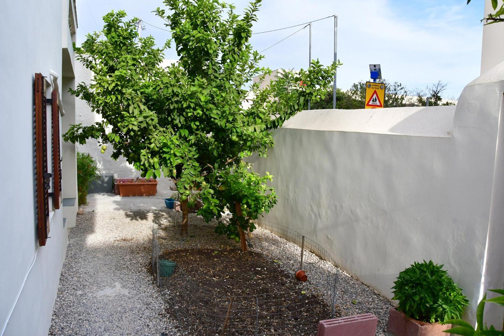 Αρχοντικό Σπίτι Στην Αίγινα Apartment ภายนอก รูปภาพ